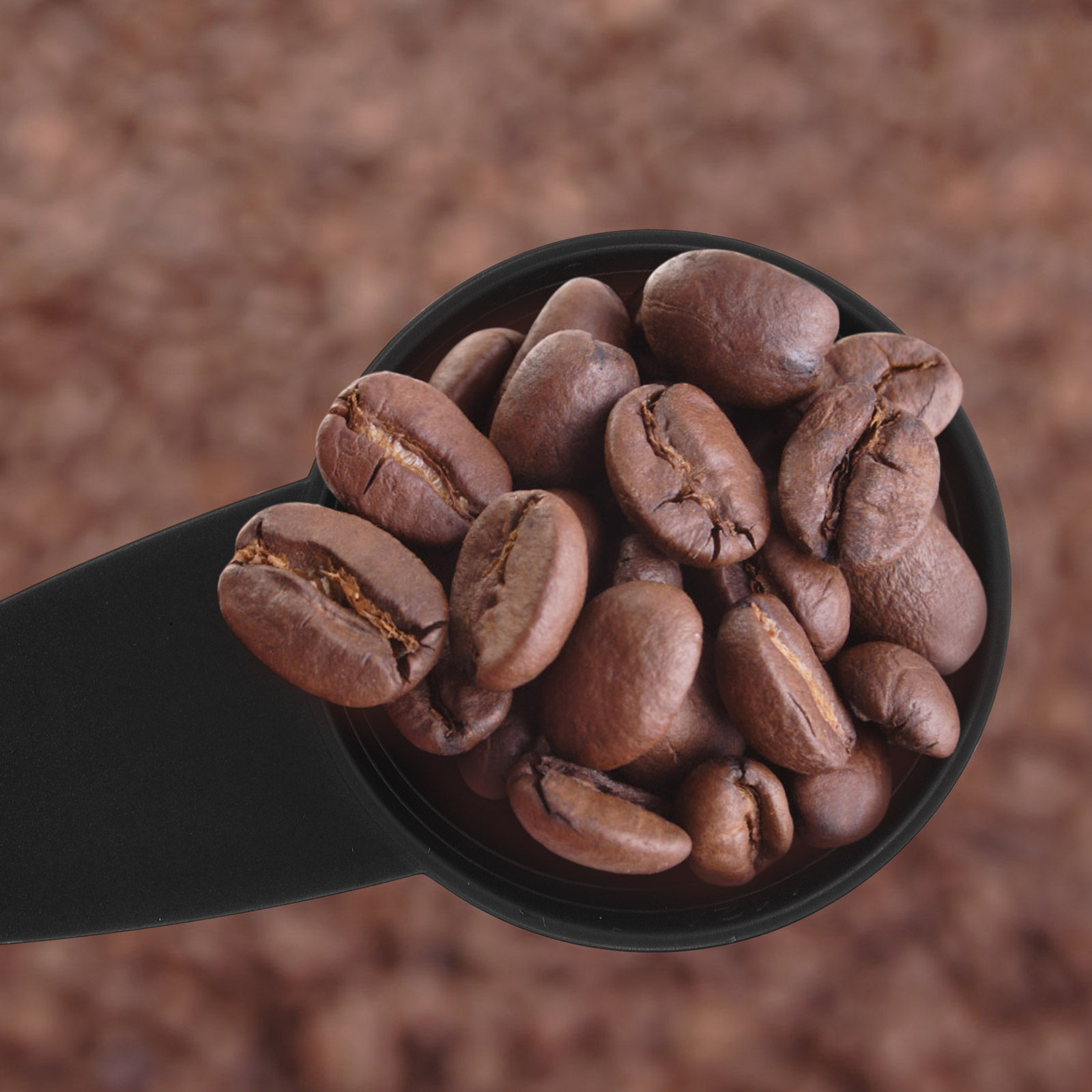 5 szt. Miarek kuchennych z dłu – Coffee Tea Spoon recenzja i cena